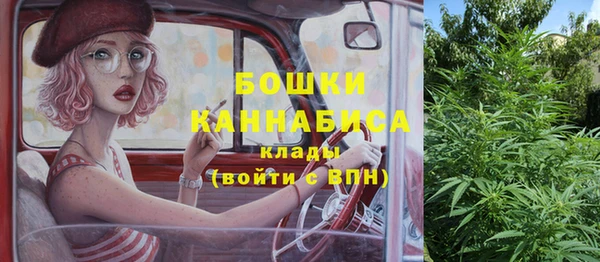 амф Вязьма