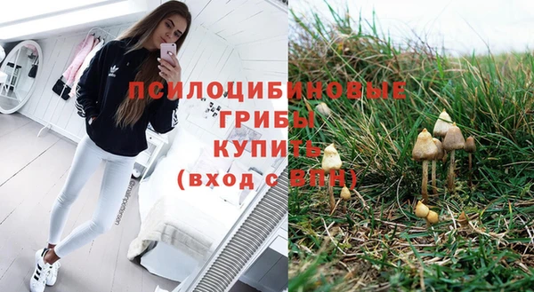 меф Вяземский