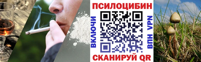 Галлюциногенные грибы прущие грибы darknet наркотические препараты Барнаул цена